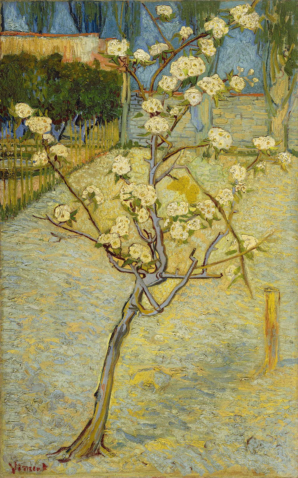 Small Pear Tree - 1888.Apr at Arles