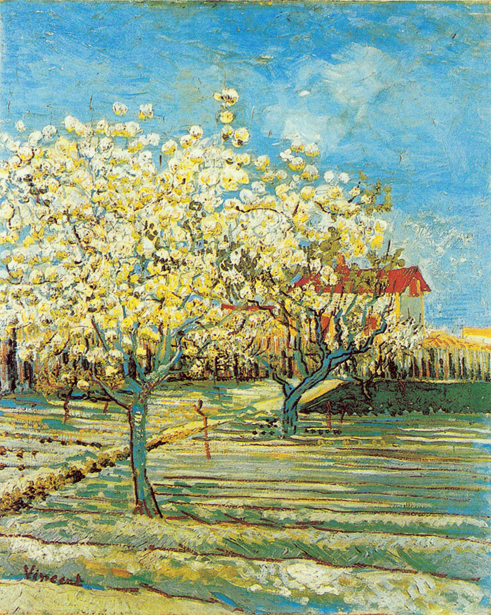 Orchard with Pear Trees in Blossom and House with Orange Roof - 1888.Apr at Arles