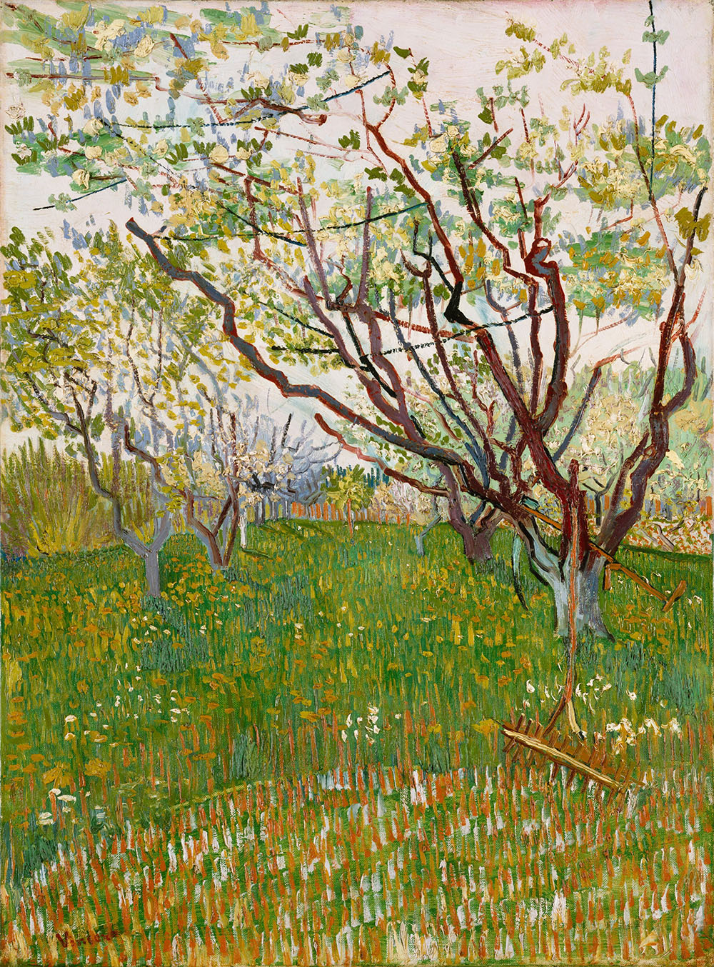 Orchard in Blossom - 1888.Apr at Arles