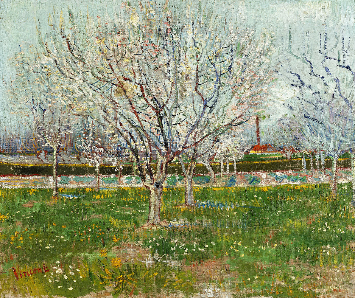 Orchard with Apricot Trees in Blossom - 1888.Apr at Arles