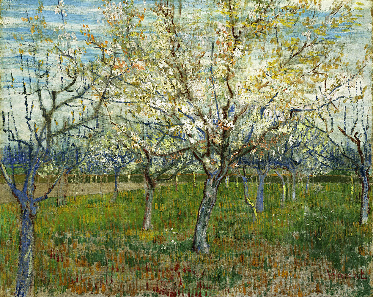 The Pink Orchard with Apricot Trees in Blossom - 1888.Apr at Arles