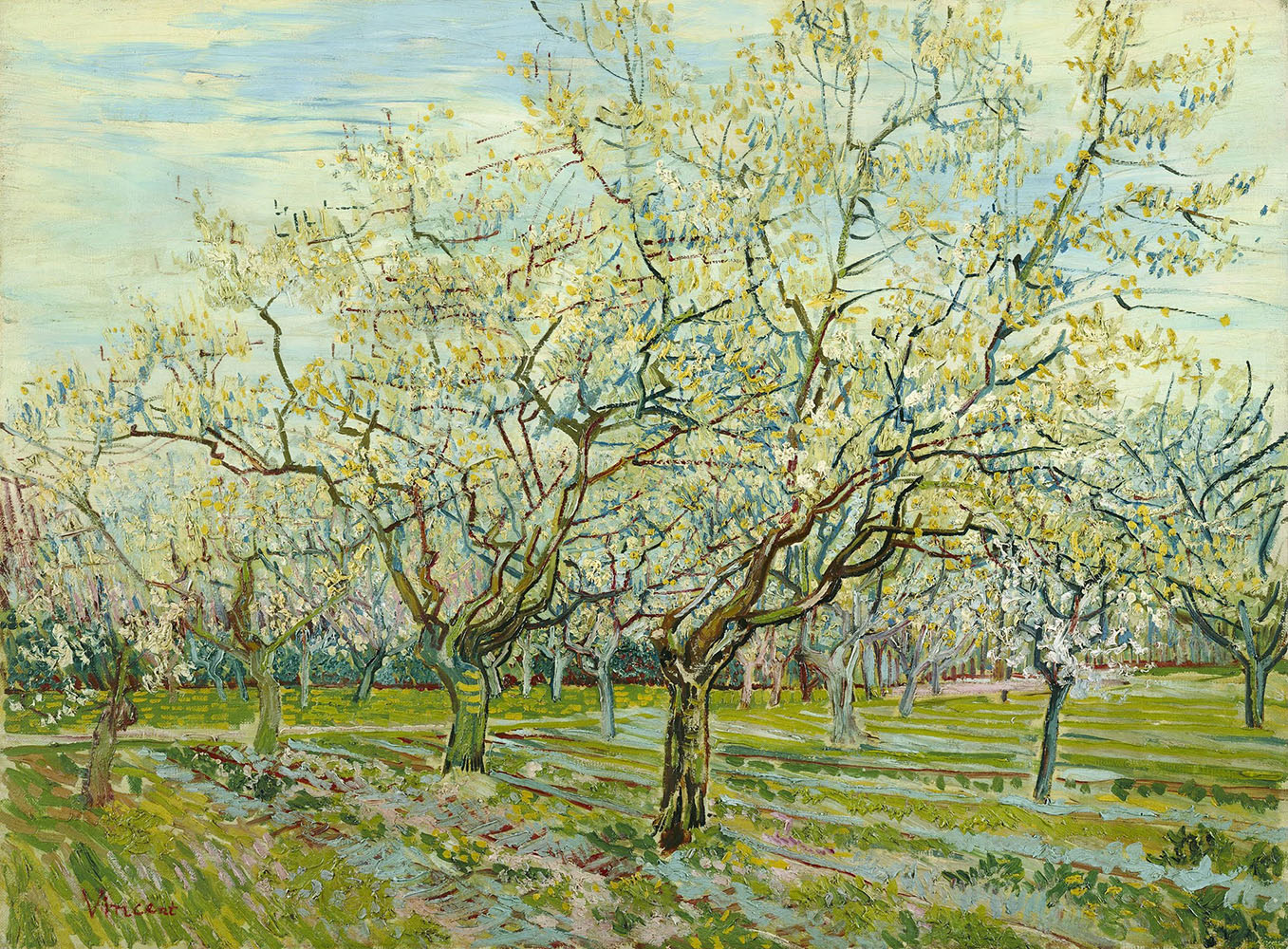 The White Orchard with Plum Trees in Blossom - 1888.Apr at Arles