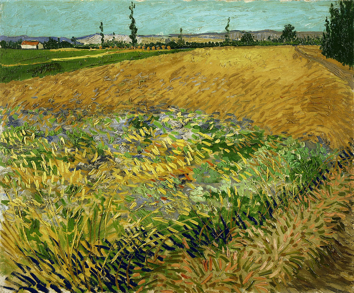 Wheatfield - 1888 at Arles