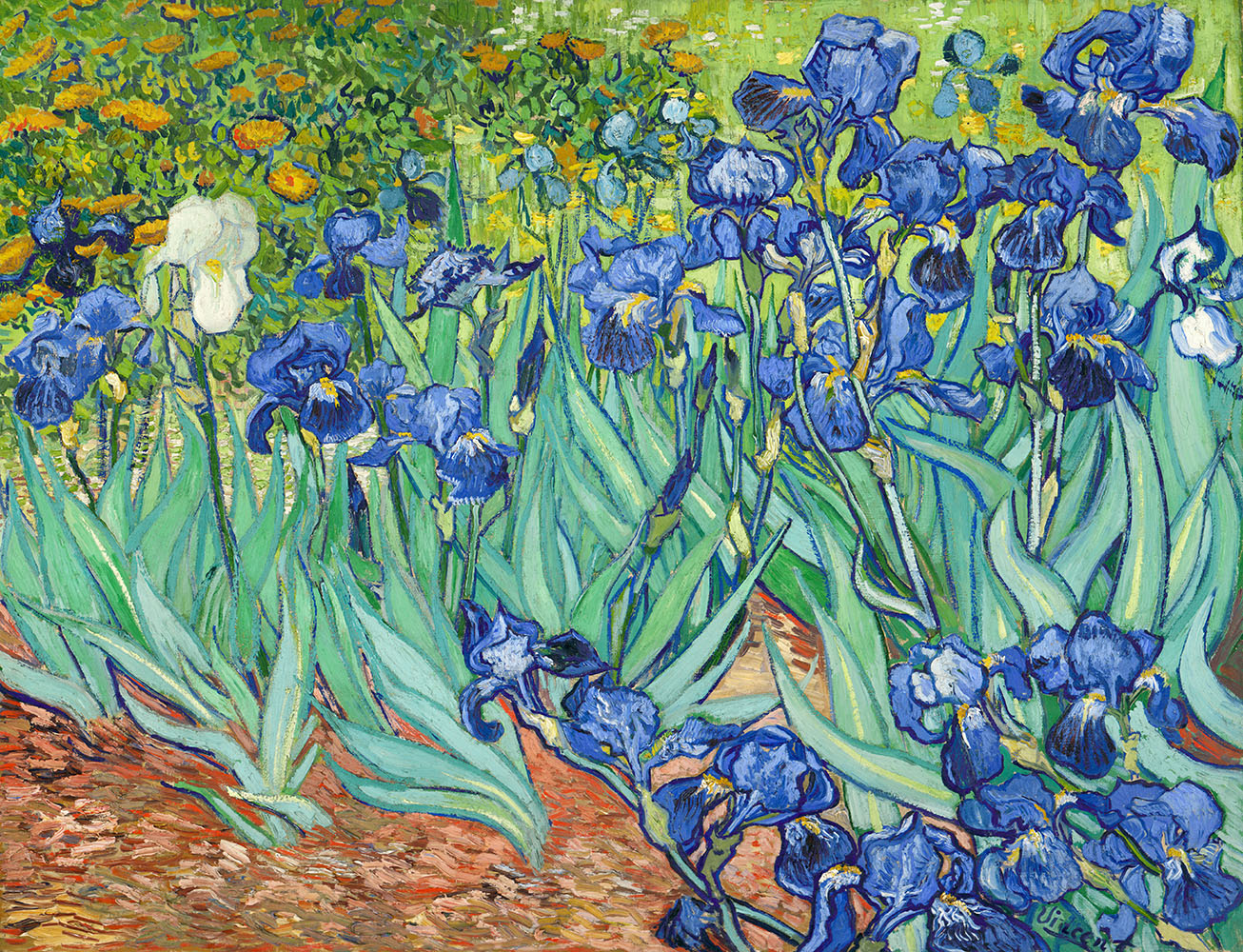 Irises - 1889.May at Saint-Rémy