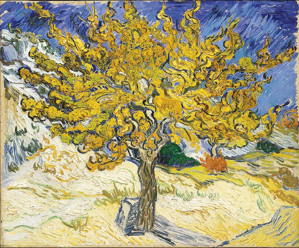 Mulberry Tree - 1889.Sep at Saint-Rémy