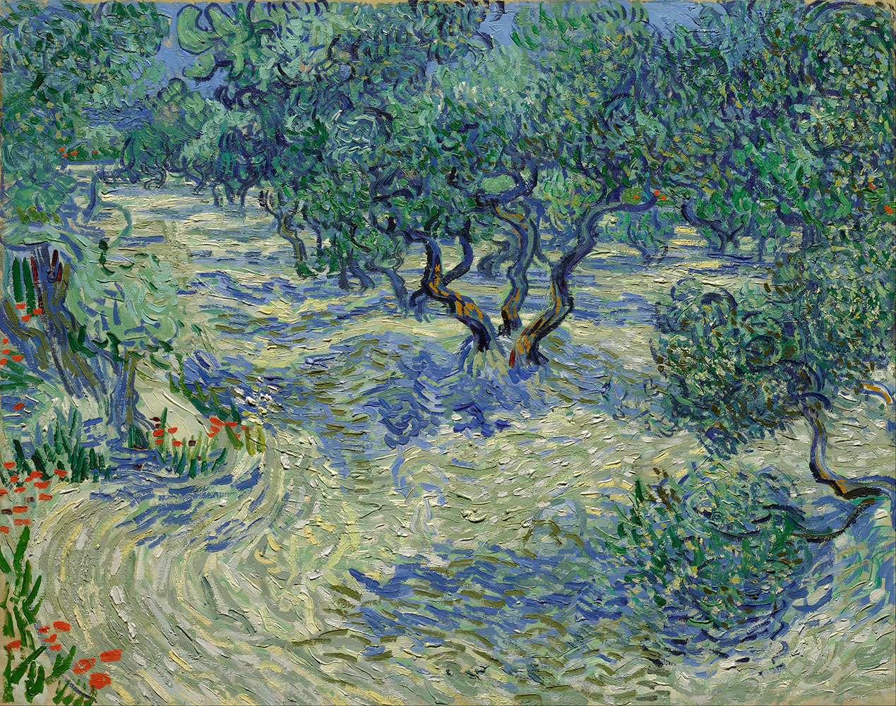 Olive Grove - 1889.Jun at Saint-Rémy