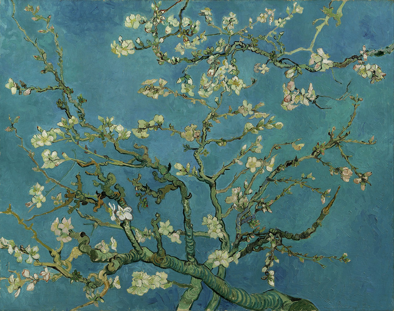 Branches with Almond Blossom - 1890.Mar at Saint-Rémy